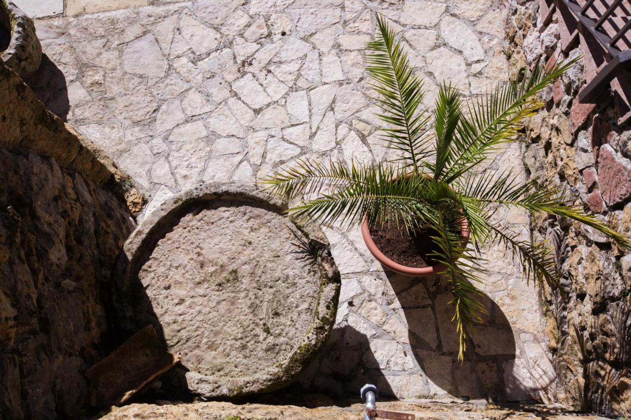 ホテル La Casona De Cardes Onís エクステリア 写真